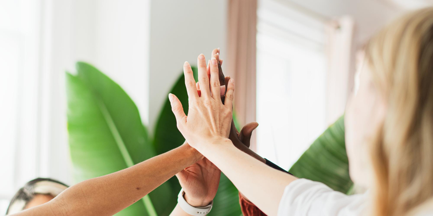 holistic wellbeing and lifestyle support services